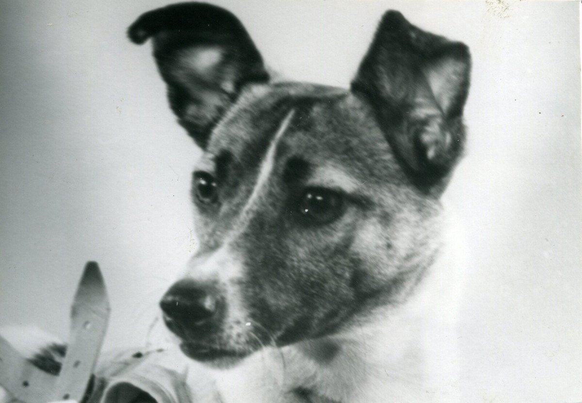 Soviet space-program photograph, 1957